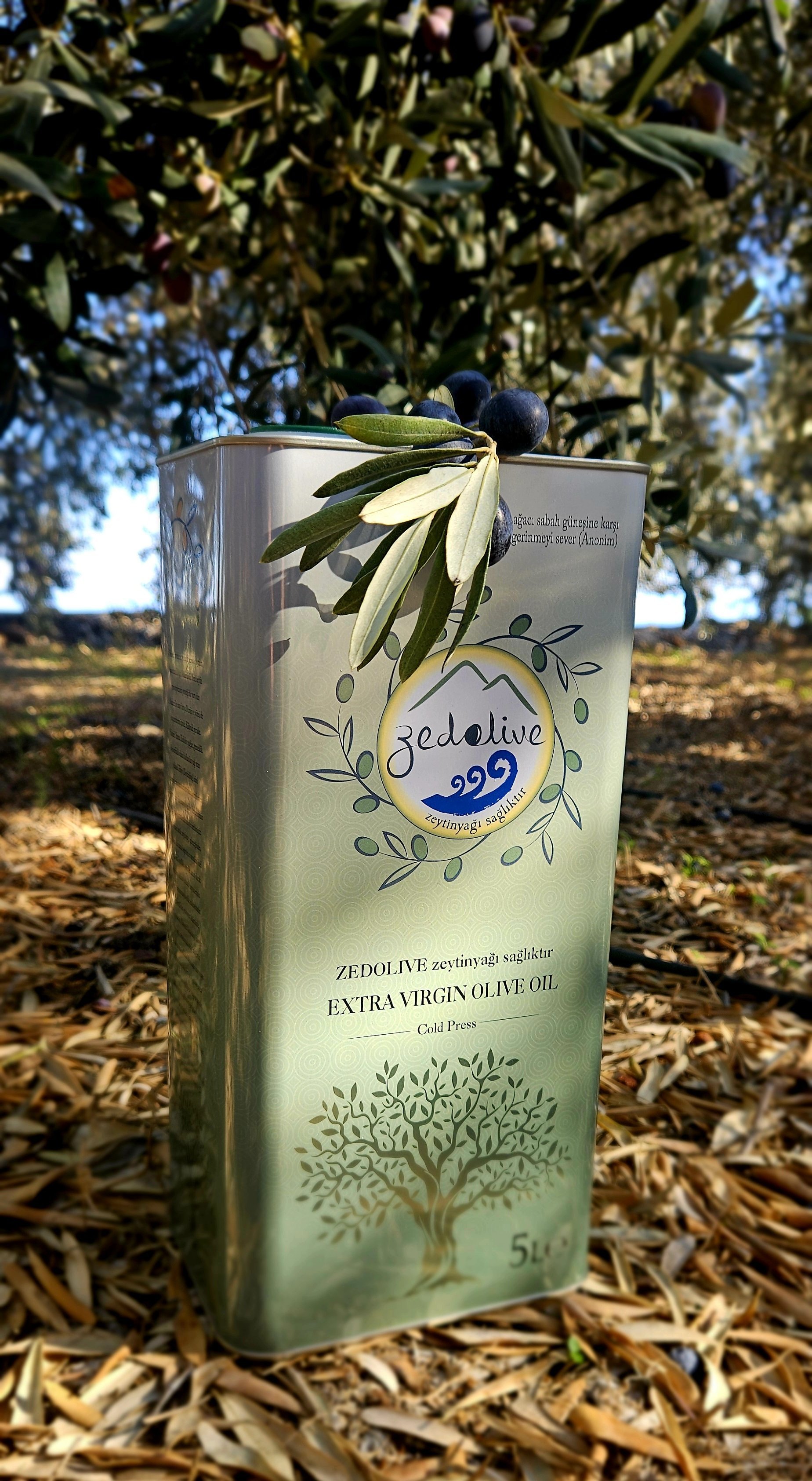 Zedolive Zeytinyağı Sağlıktır.